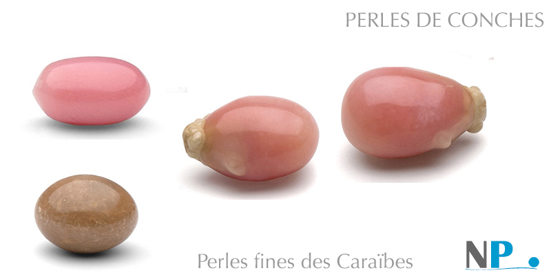 PERLES FINES, PERLES DES CARAIBES, PERLES DE CONCHES